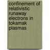 Confinement of relativistic runaway electrons in tokamak plasmas by I. Entrop