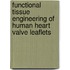 Functional tissue engineering of human heart valve leaflets