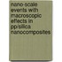 Nano-scale events with macroscopic effects in PP/silica nanocomposites