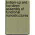Bottom-up and top-down assembly of functional nanostructures