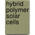 Hybrid polymer solar cells