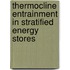 Thermocline entrainment in stratified energy stores