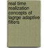 Real time realization concepts of lagrge adaptive filters