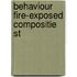 Behaviour fire-exposed compositie st