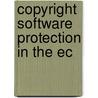Copyright software protection in the ec door Onbekend
