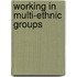 Working in multi-ethnic groups