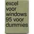Excel voor Windows 95 voor Dummies