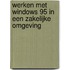 Werken met Windows 95 in een zakelijke omgeving