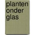Planten onder glas