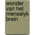 Wonder van het menselyk brein