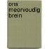 Ons meervoudig brein