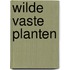 Wilde vaste planten