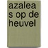 Azalea s op de heuvel