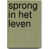 Sprong in het leven