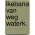 Ikebana van weg waterk.