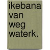 Ikebana van weg waterk. by Knook Teding Berkhout