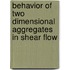 Behavior of two dimensional aggregates in shear flow