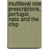 Multilevel role prescriptions, Portugal, NATO and the CFSP
