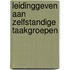 Leidinggeven aan zelfstandige taakgroepen
