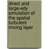 Direct and large-edy simulation of the spatial turbulent mixing layer door I.C.C. de Bruin