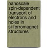 Nanoscale spin-dependent transport of electrons and holes in Si-ferromagnet structures door E. Haq