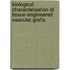 Biological characterisation of tissue-engineered vascular grafts