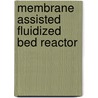 Membrane assisted fluidized bed reactor door S.A.R.K. Deshmukt