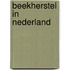 Beekherstel in Nederland