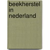Beekherstel in Nederland by P. Jasperse