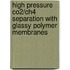 High pressure CO2/CH4 separation with glassy polymer membranes