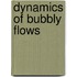 Dynamics of bubbly flows