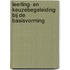 Leerling- en keuzebegeleiding bij de basisvorming