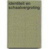 Identiteit en schaalvergroting door B.G. Doornekamp