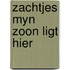 Zachtjes myn zoon ligt hier