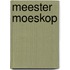 Meester Moeskop