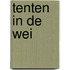 Tenten in de wei