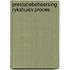 Prestatiebeheersing rykshuisv.proces