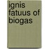 Ignis fatuus of biogas