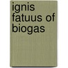 Ignis fatuus of biogas by Brakel