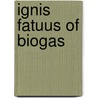Ignis fatuus of biogas door Brakel