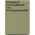 Strategisch voorraadbeleid van woningcorporaties