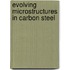 Evolving Microstructures in Carbon Steel