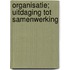 Organisatie; uitdaging tot samenwerking
