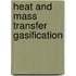Heat and mass transfer gasification