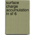 Surface charge accumulation in sf 6