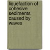 Liquefaction of cohesive sediments caused by waves door P.J. de Wit