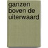 Ganzen boven de uiterwaard
