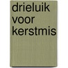 Drieluik voor kerstmis door Rinser