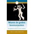 Waren de goden kosmonauten