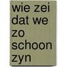 Wie zei dat we zo schoon zyn door Miep Diekmann
